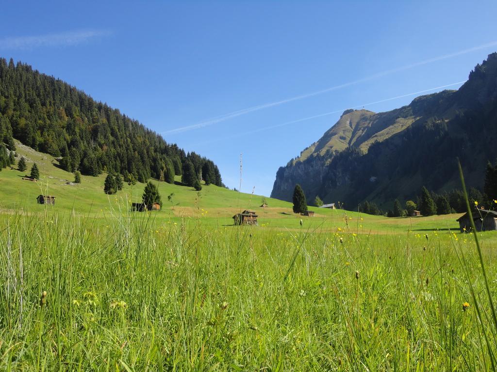 Haus Alpina Hotel Au (Vorarlberg) Bagian luar foto