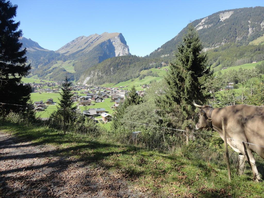 Haus Alpina Hotel Au (Vorarlberg) Bagian luar foto