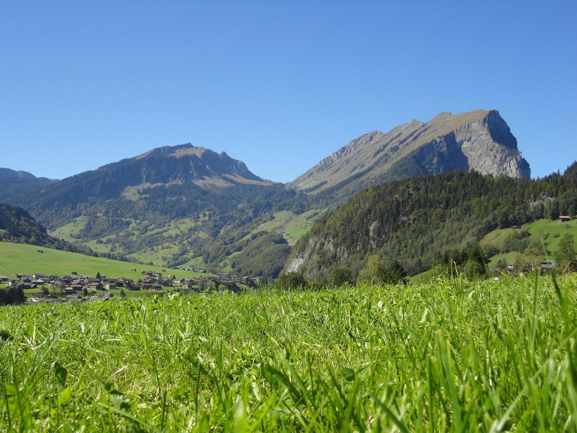 Haus Alpina Hotel Au (Vorarlberg) Bagian luar foto